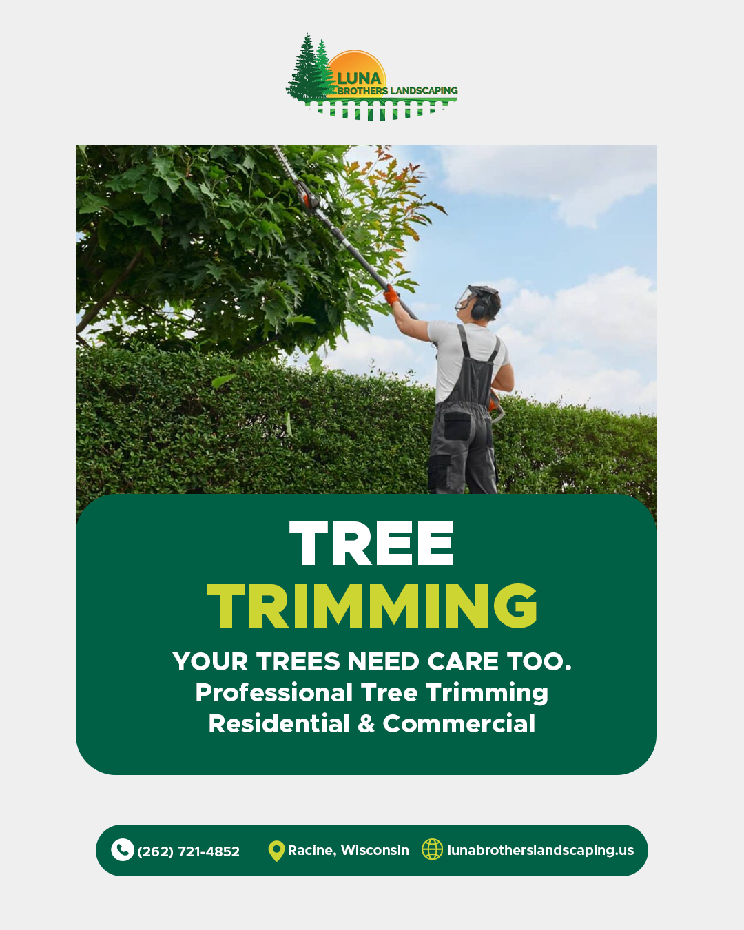 Tree trimming — supplied business photograph